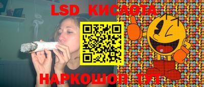 прущие грибы Тверь