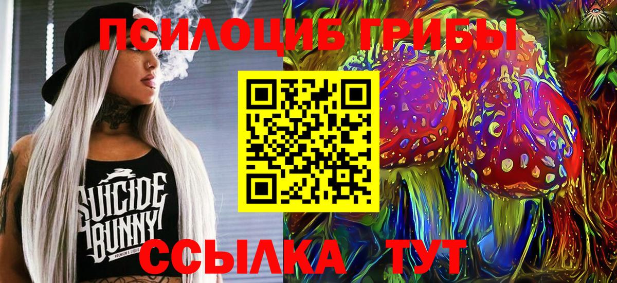 Отрадное  Псилоцибиновые грибы MAGIC MUSHROOMS  купить   Вход с VPN 